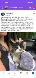 FOUND in Salisbury Hensmith Rd