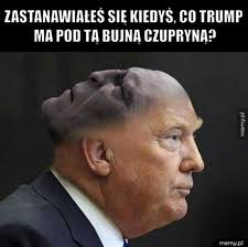 Title memy funny memes best memes sarcastic humor file type = jpg source image @ memy | funny memes, best memes. Donald Trump Memy W Usa Debata Prezydencka A Internet Ma Swojego Faworyta Memy Warszawa Nasze Miasto