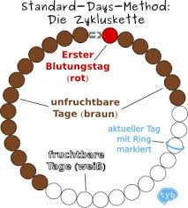 Etwa in der mitte dieses zyklus' findet der eisprung statt. Wann Ist Die Frau Fruchtbar Heartlireva