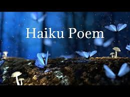 Haiku Poem In English Poetry Youtube In 2020 Haiku Poems Poems In English Haiku