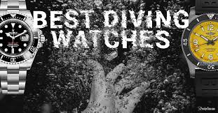 Image result for diving watch