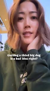 Say helloooooo to the newest member of our family, Rome! ❤️❤️❤️ #canecorso  #dog #puppy