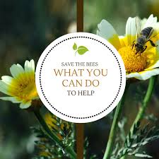 I went ahead and glued a few flowers in the wheelbarrow and one for each bear to hold. Save The Bees What You Can Do To Help Wingard S Market