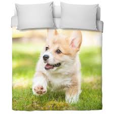 Cotton is a very popular choice when it comes to bedsheets, and has been used for at least 7000 years. Corgi Bed Sheets Dog In Bed