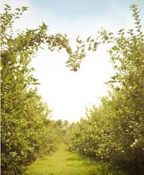 Life Is Full Of Beauty Notice It Heart In Nature Nature Beautiful Nature