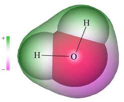 Dipolar Digital Textbooks Chemistry Chemistry Experiments