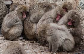 On a cold winters' day, there is ...