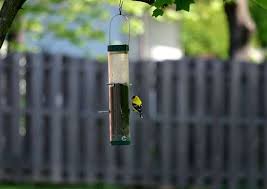 A blog about backyard birdwatching, landscaping for birds, and nature. How To Get Rid Of Bugs 10 Time Tested Tips Bob Vila