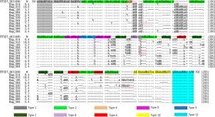But today, i'll give you 5 reasons why you should use opensuse. Genetic Polymorphism Of Histidine Rich Protein 2 In Plasmodium Falciparum Isolates From Different Infection Sources In Yunnan Province China Springerlink