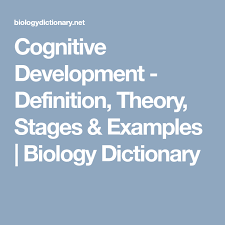 Cognitive Development Cognitive Development Development Cognitive