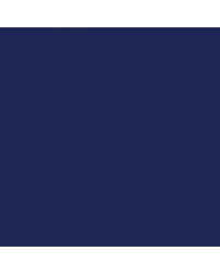 Image result for Deep Impact Blue 2012 Escape