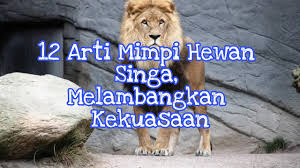 We did not find results for: 12 Arti Mimpi Hewan Singa Melambangkan Kekuasaan Youtube