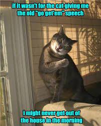 Kittehs Encouraging Hoomins To Get Owt For Centuriez Cute Funny Animals Funny Cat Pictures Funny Cat Memes