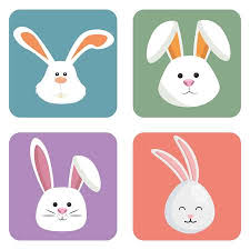 Select from premium bunny face of the highest quality. Rabbit Face Stock Photos And Images 123rf