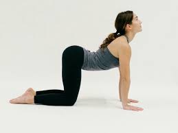 Pin By Neelima Neel On Body Gard Cow Pose Yoga Cool Yoga Poses Morning Yoga Poses