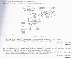 Paper 3 question 2 aspect. Spm Biology