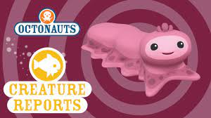 Watch this the octonauts video, the octonauts and the snot sea cucumber, on fanpop and browse other the octonauts videos. Octonauts Creature Report Snot Sea Cucumber Youtube