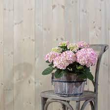 Company list sweden moelven skog ab. Beiset Panel Til Vegg Og Tak