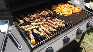Quel gaz pour barbecue exterieur. Quel Barbecue Choisir Pour Enflammer Votre Ete
