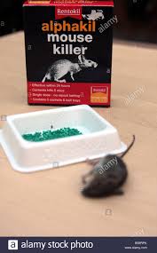 As the global leader in commercial pest control, rentokil offers a range of innovative pest management services to provide facilities management companies with a proactive approach to pest control. Rentokil Stockfotos Und Bilder Kaufen Alamy