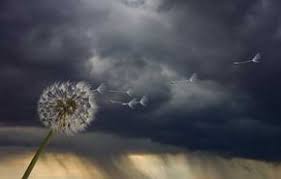 For other uses, see storm (disambiguation). Is There Really A Calm Before The Storm Howstuffworks