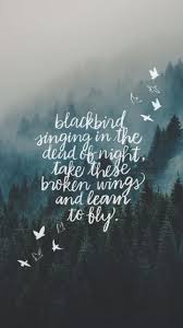 Blackbird Singing In The Dead Of Night Lyrics Log In Wallpaper Iphone Quotes Songs Phone Wallpaper Quotes Wallpaper Iphone Quotes Backgrounds