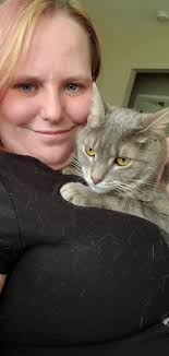 Missing Microchipped Indoor Cat in 22nd and Sertoma Area