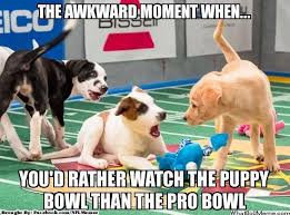 Nothing Awkward About It Puppy Bowl Wins Were You Watching This Past Sunday Slis Puppy Bowls Puppies Animals
