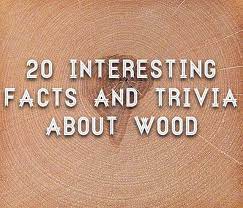 Please, try to prove me wrong i dare you. Facts And Trivia About Wood