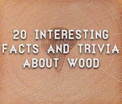 Wood is one of the oldest building materials on the planet, and there's evidence that people have been shaping objects out of wood since the days of the ancient neanderthals. Facts And Trivia About Wood