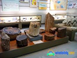 Di museum ini anda bisa meng edukasi sang buah hati dengan. Harga Tiket Dan Jam Buka Museum Geologi Bandung 2019
