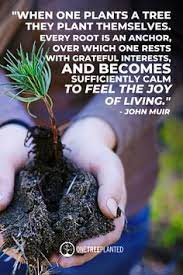 Tree plantation pragraph, english study notes. 83 Nature Quotes Ideas Nature Quotes Trees To Plant Tree Quotes