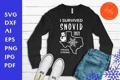 Download I Survived Snovid 2021 Quote Snovid Svg Texas Svg 1224745 Cut Files Design Bundles
