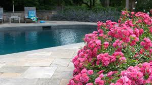 Spring Pool Opening Tips It S That Time Of Year Again