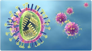 Influenza, also known as the flu, is a viral respiratory illness that is most prevalent during fall and winter months. Scientists Discover New Patterns In The Evolution Of The Influenza Virus