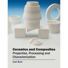 Sintering of Ceramics: Prominent Processes and Methods 9781632384164