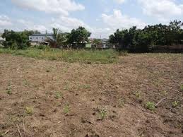 Maybe you would like to learn more about one of these? Londies Ghana 5 Plots Of Land 1 Acre At Oyarifa Facebook