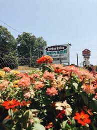 7 Perennials That Thrive In The Shade Garden Valley Market Garden Valley Shade Garden Plants Shade Garden