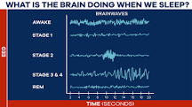 Image result for Identify the benefits of sleep. Please include the stages of sleep and any specific benefits that are identified with a specific stage.