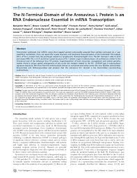 Bienvenue chez autosur lons, votre centre de contrôle technique automobile agrée. Pdf The N Terminal Domain Of The Arenavirus L Protein Is An Rna Endonuclease Essential In Mrna Transcription