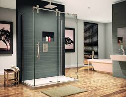 If you want to create a seamless transition between the shower area and the rest of the bathroom, transparent glass is the perfect materials to help you. Frameless 3 8 Thick Shower Enclosure With A Sliding Glass Door Contemporary Bathroom Cleveland By Innovate Building Solutions Houzz