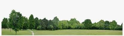 Check spelling or type a new query. Tree Line Backgrounds Png Image Transparent Png Free Download On Seekpng