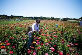 We did not find results for: Pick Your Own Flowers Mannerim Stables Co Marcus Hill