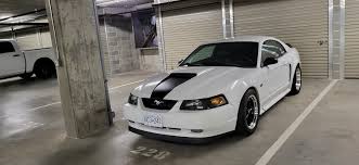 Image result for Oxford White 2004 Escape