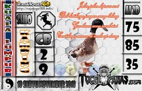 Togel Panas Erek Erek Erek Erek Prediksi Jitu 4d Singapore Live 4d Hari Ini Keluar Aki Wilson Bagaimana Membedah Syair Bedah Syair Galeri Shio Singapura