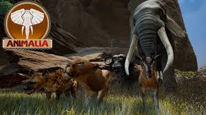 Yes, the cold hard reality in a serious survival situation is that if you could only have one animal, it would be the lowly, pusillanimous, and too often taken for granted, chicken.they provide two of the first and foremost essentials in the life of a prepper: New Upcoming Animal Survival Game Animalia Animalia Demo Gameplay And Review Youtube