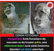 Belinay Adli Kullanicinin Ilginc Bilgiler Panosundaki Pin 2020 Bilgi Beslenme