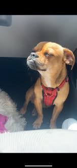 NYSEG proposes 22.5 percent rate increase