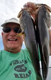 Houghton Lake Resorter