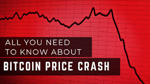 Here's what to tell friends and family after the cryptocurrency doubled to $40,000. Bitcoin Price Crash What To Know How To React Bitcoin Infographic